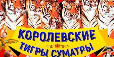 Королевские тигры Суматры Королевские тигры Суматры