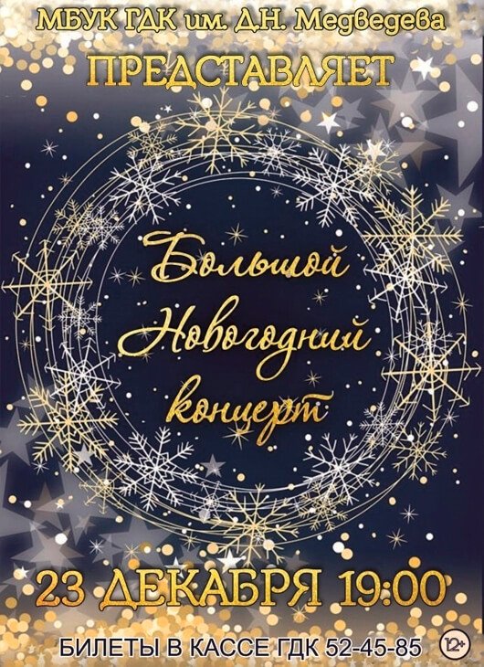 Большой новогодний концерт Большой новогодний концерт