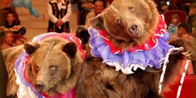 Цирк детям Цирк детям