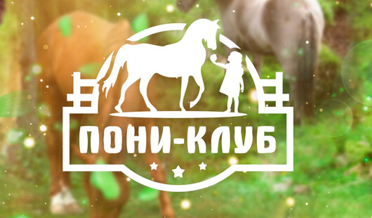 Пони-клуб Брянск