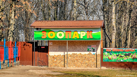День рождения зоопарка День рождения зоопарка