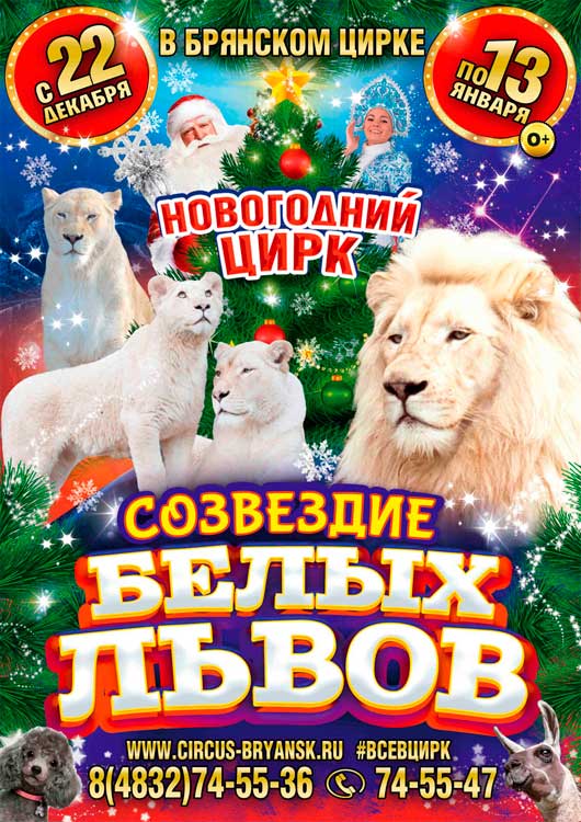 Новогодняя программа «Созвездие белых львов» Новогодняя программа «Созвездие белых львов»