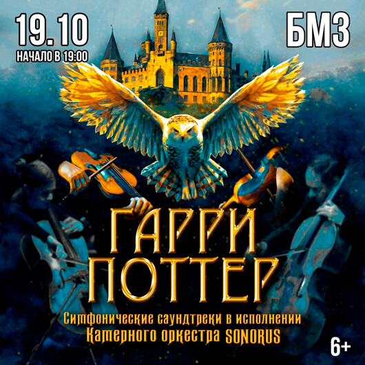 Гарри Поттер. Оркестр Sonorus Гарри Поттер. Оркестр Sonorus