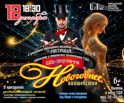  Шоу-программа «Новогоднее Волшебство»
