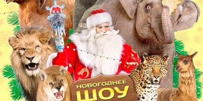 Впервые в Брянском цирке Новогоднее шоу "ИНДИ РА" Впервые в Брянском цирке Новогоднее шоу "ИНДИ РА"