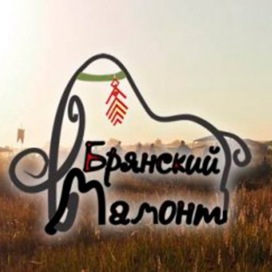 «Брянский Мамонт–2019» «Брянский Мамонт–2019»