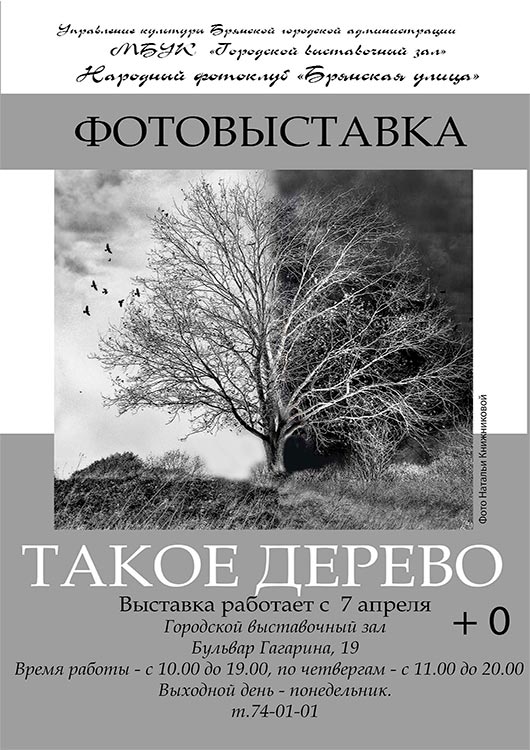 «Такое дерево» «Такое дерево»