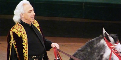 Тайны осеннего замка Тайны осеннего замка