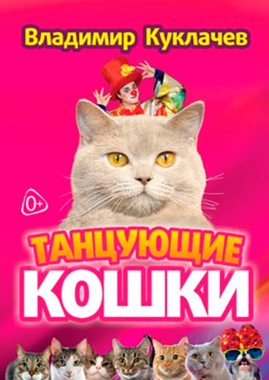 «Танцующие Кошки» «Танцующие Кошки»