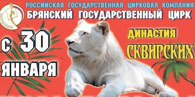 Белые львы Африки Белые львы Африки