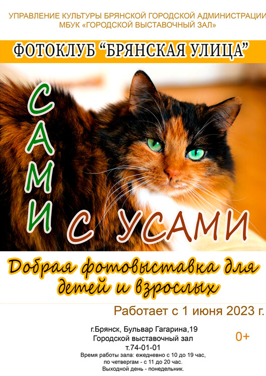 «Сами с усами» «Сами с усами»