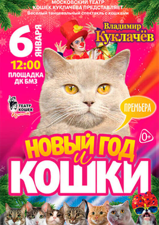 НОВЫЙ ГОД И КОШКИ НОВЫЙ ГОД И КОШКИ