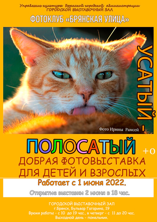 Фотовыставка «Усатые-полосатые» Фотовыставка «Усатые-полосатые»