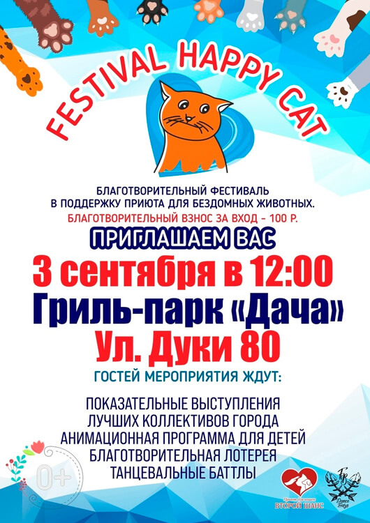 10 Festival Happy Cat 10 Festival Happy Cat