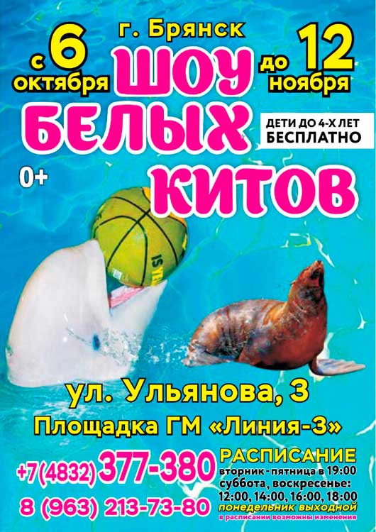 Дельфинарий с программой «Шоу Белых Китов» Дельфинарий с программой «Шоу Белых Китов»