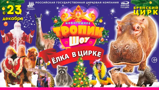 Елка в цирке. Новогоднее тропик-шоу Елка в цирке. Новогоднее тропик-шоу